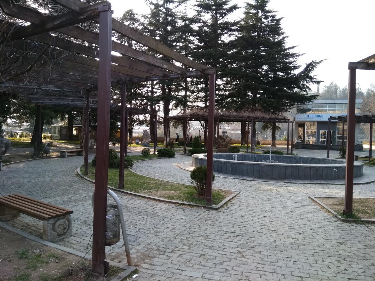 Hotel Mkudro Koetaisi Buitenkant foto